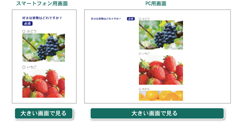 ���᡼�����󥱡���